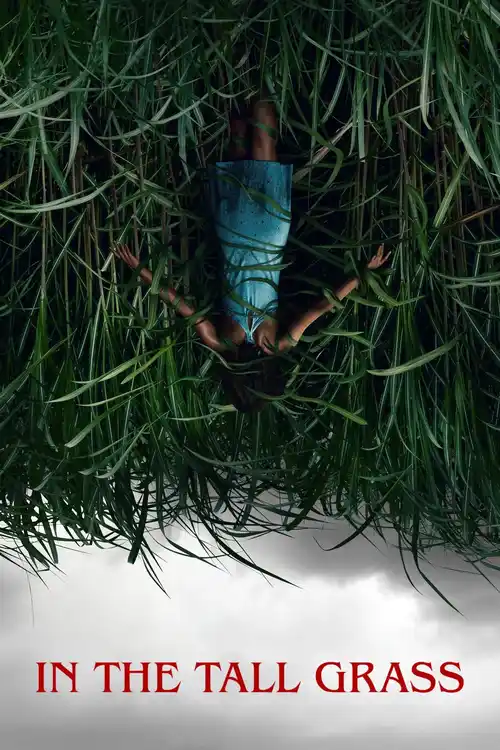 in the tall grass 2019