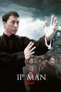 ip man 2 2010
