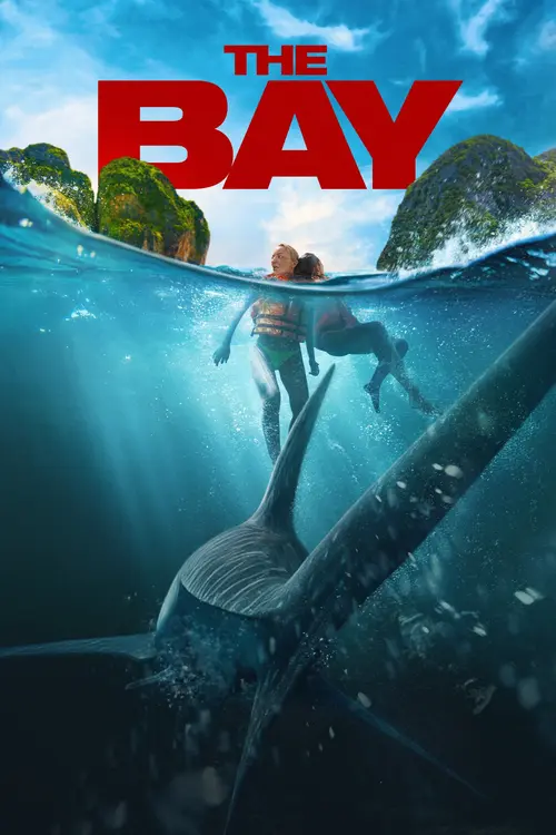 the bay 2026